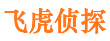 泸定市场调查